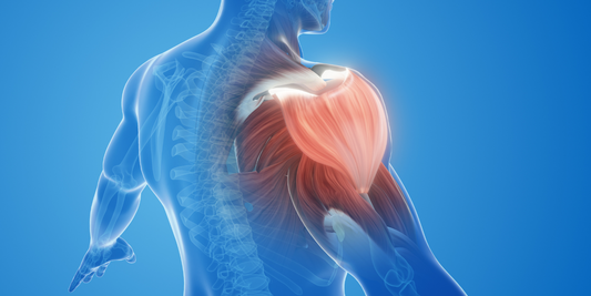 Swimming for Muscle Recovery and Rehabilitation