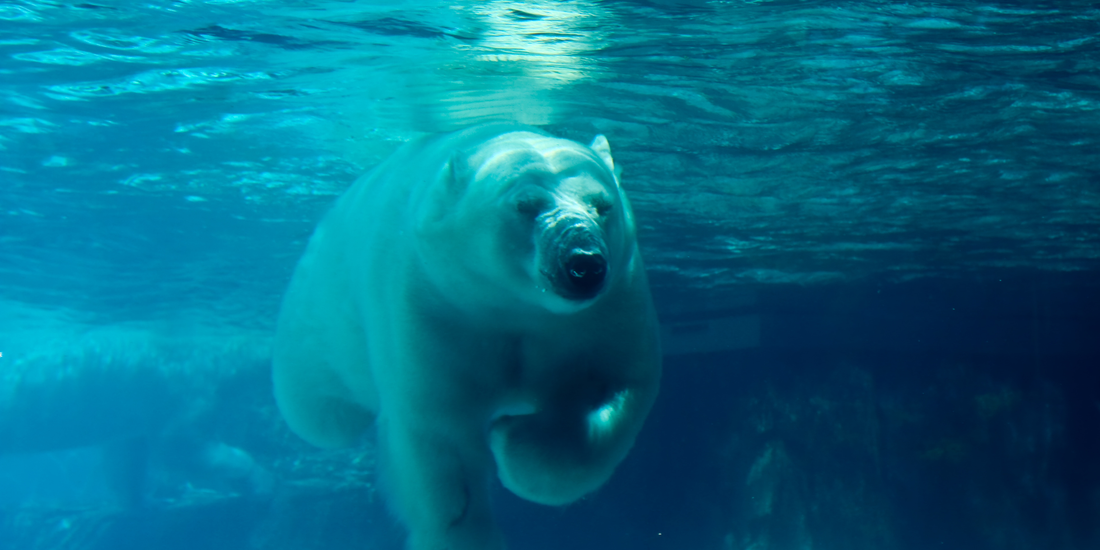 Why You Should Keep Swimming Year-Round (Even in Winter)
